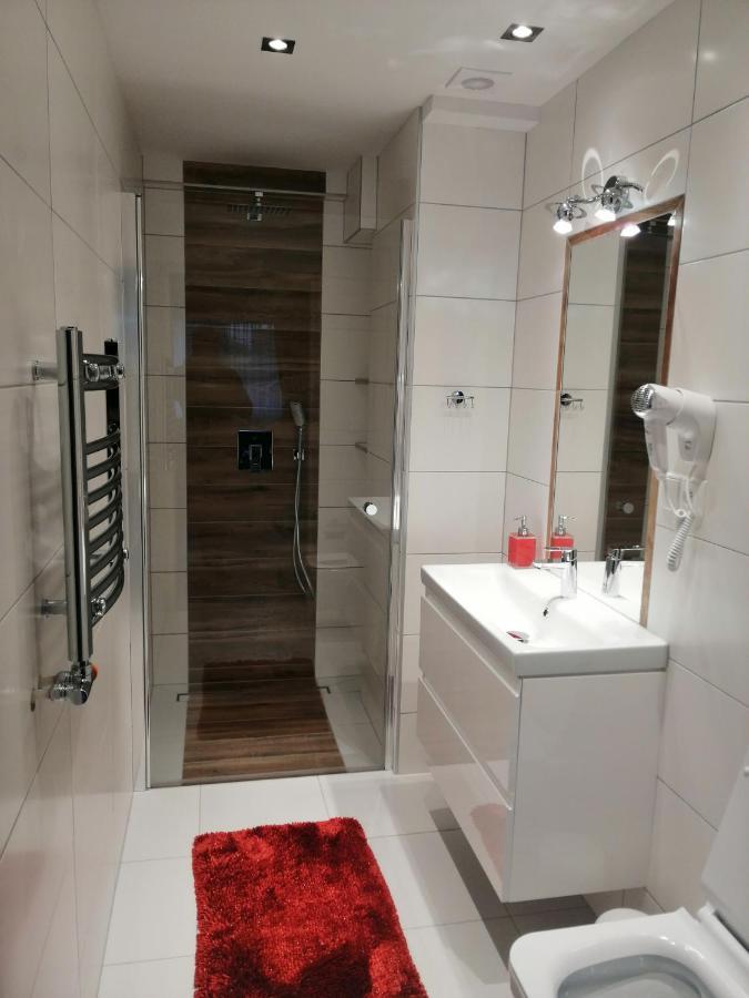 Apartament Podwika ザコパネ エクステリア 写真