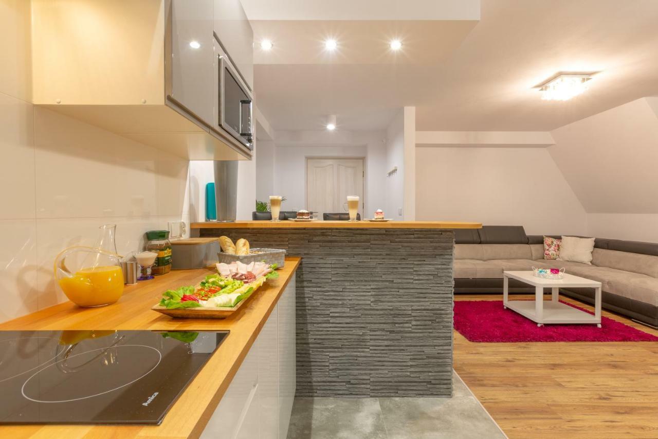 Apartament Podwika ザコパネ エクステリア 写真