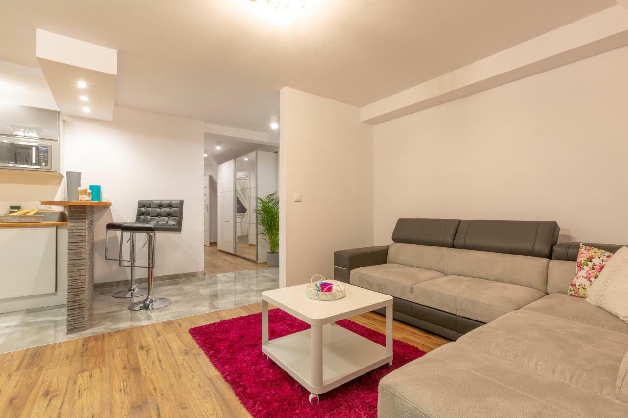 Apartament Podwika ザコパネ エクステリア 写真