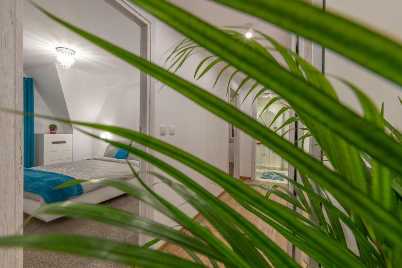Apartament Podwika ザコパネ エクステリア 写真